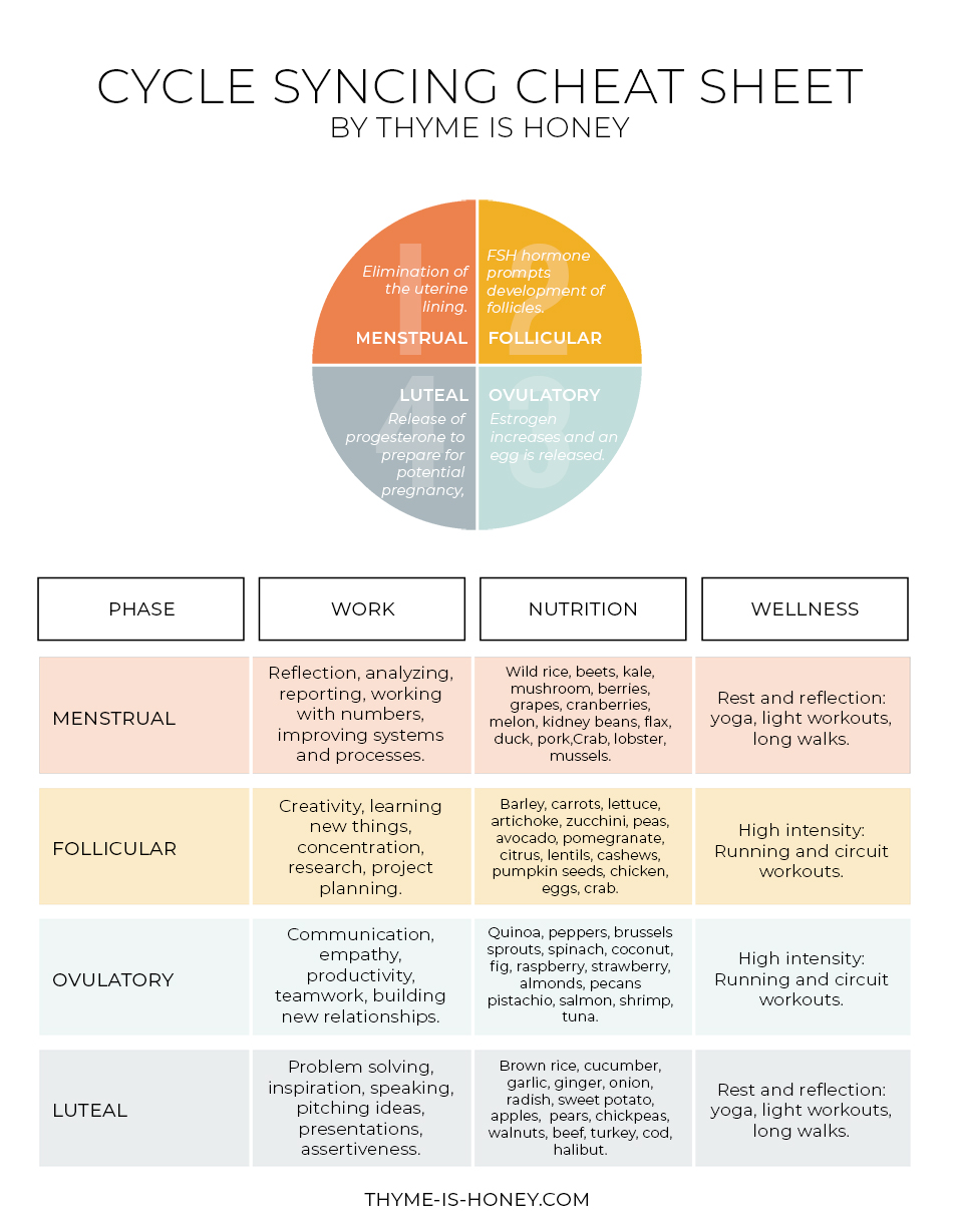 Cycle Syncing with Your Workflow + free cheat sheet and tracking guide | Thyme is Honey