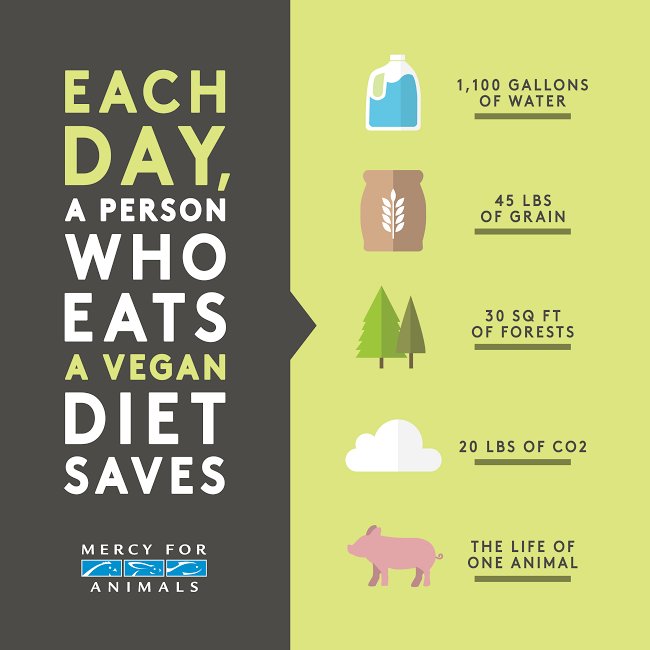 Environmental benefits of a vegan diet infographic